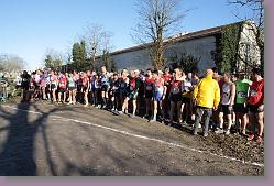 Begles 15.12.13 01 094 * 679 x 453 * (160KB)